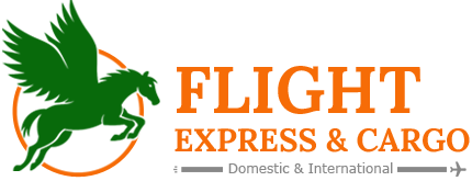 Flight Express & Cargo, Chennai